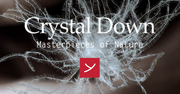 Crystal Down - Masterpieces of Nature