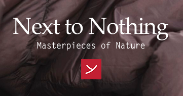 Next to nothing - Masterpieces of Nautre