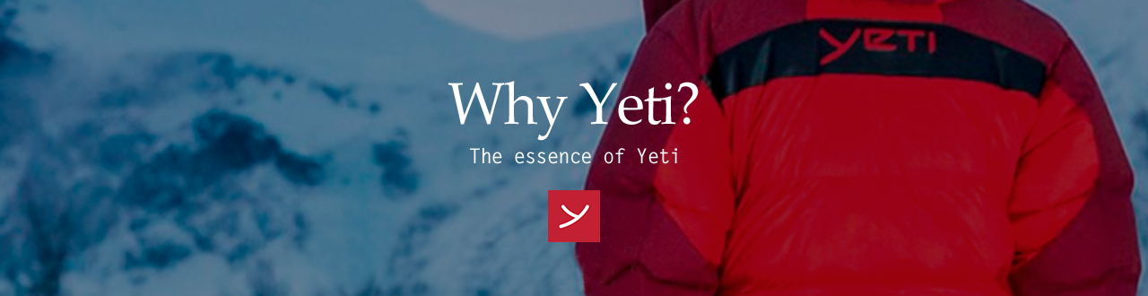 Why Yeti? - The essence of Yeti